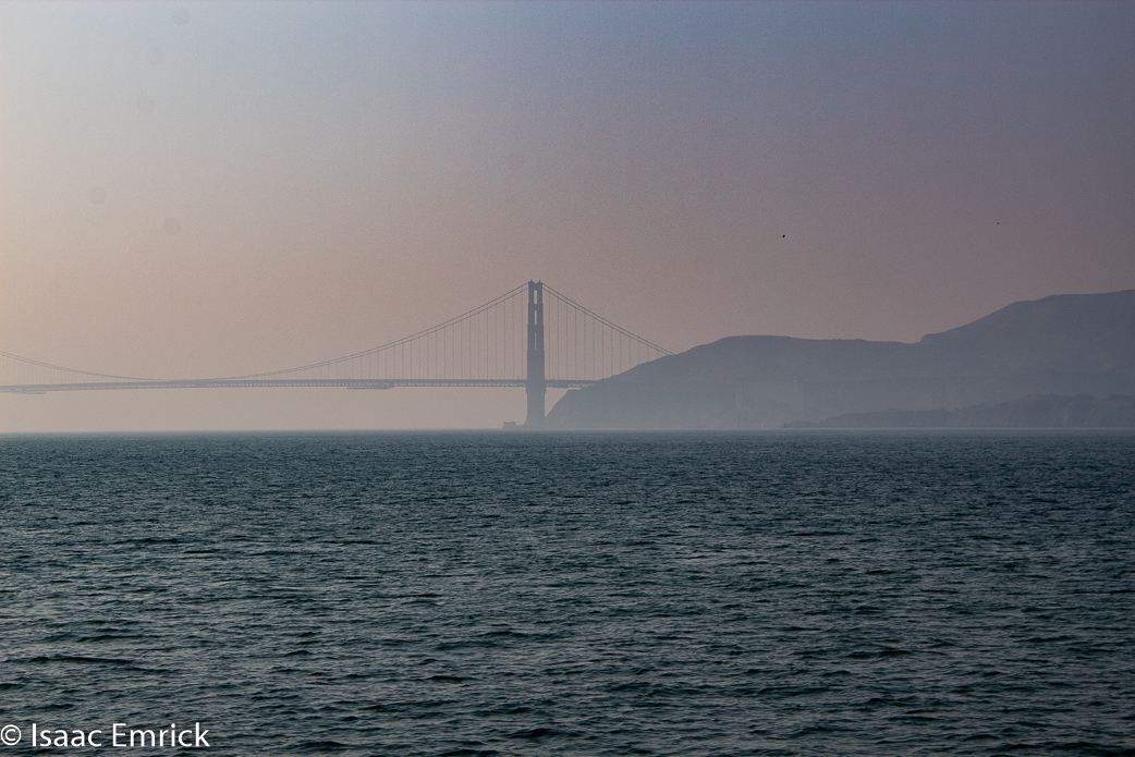 SFBay 11/12/18-08