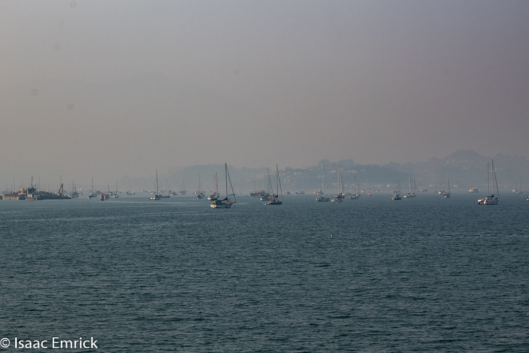 SFBay 11/12/18-27