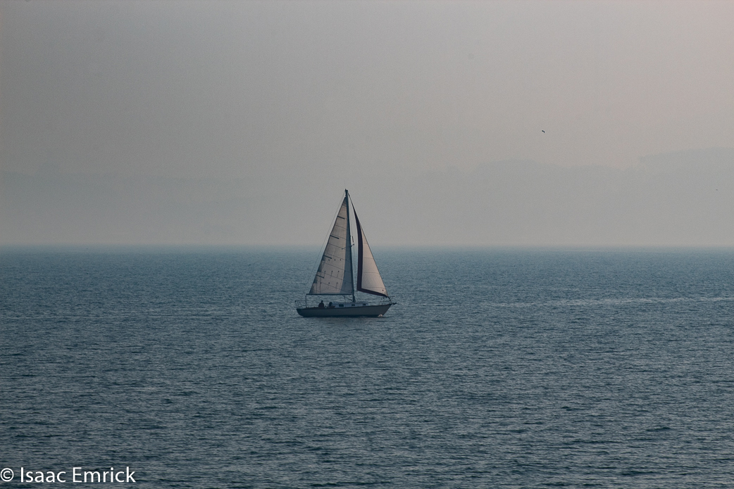 SFBay 11/12/18-28