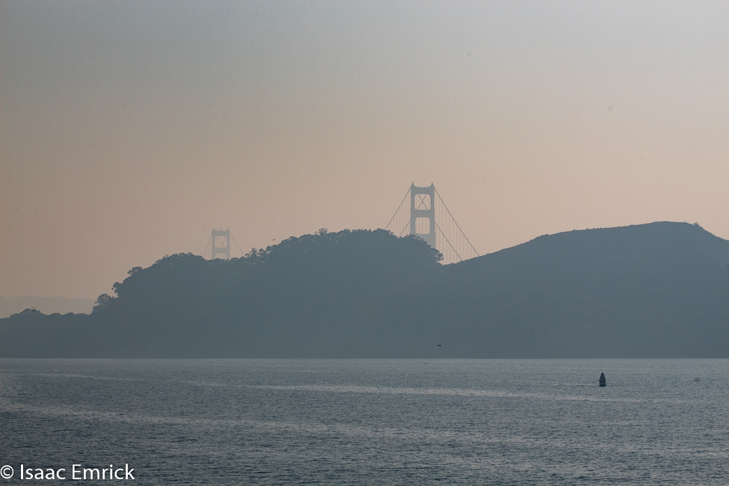 SFBay 11/12/18-29