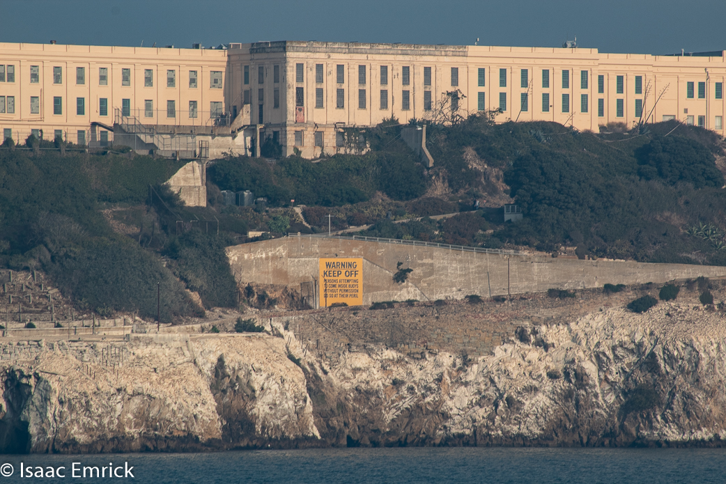 SFBay 11/12/18-31