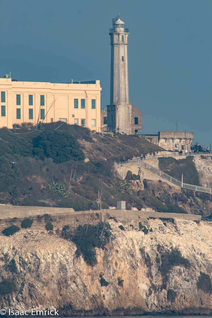 SFBay 11/12/18-32