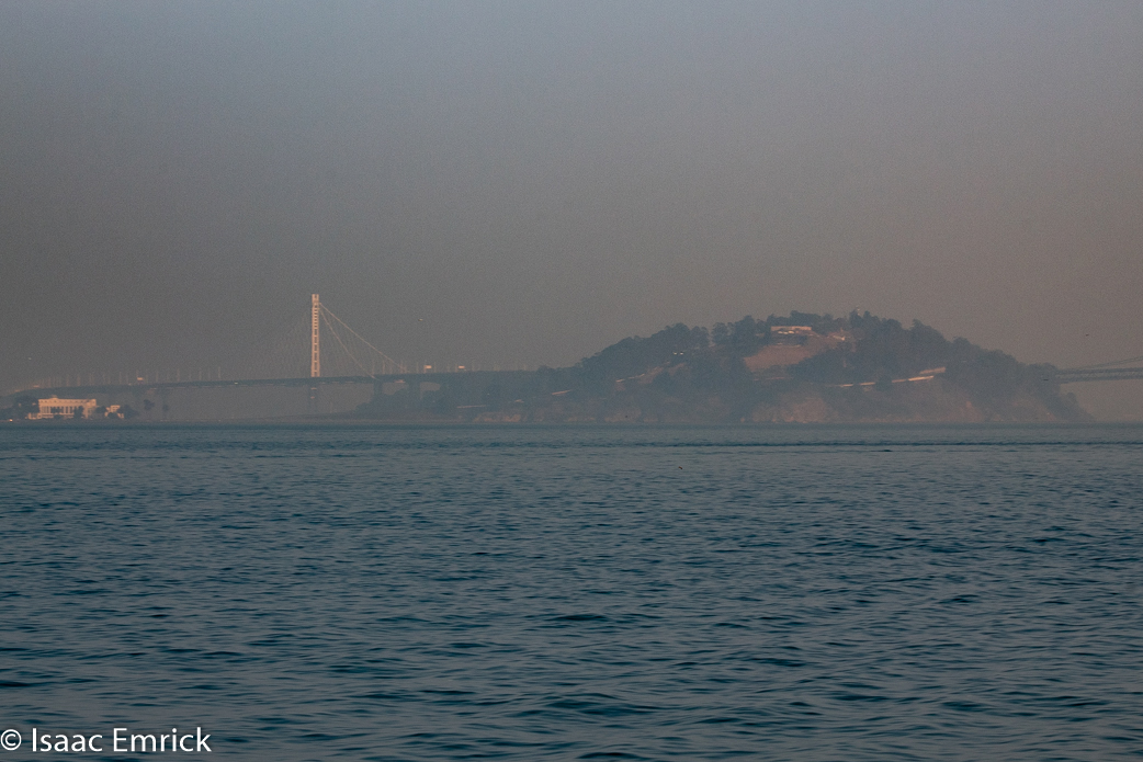 SFBay 11/12/18-33