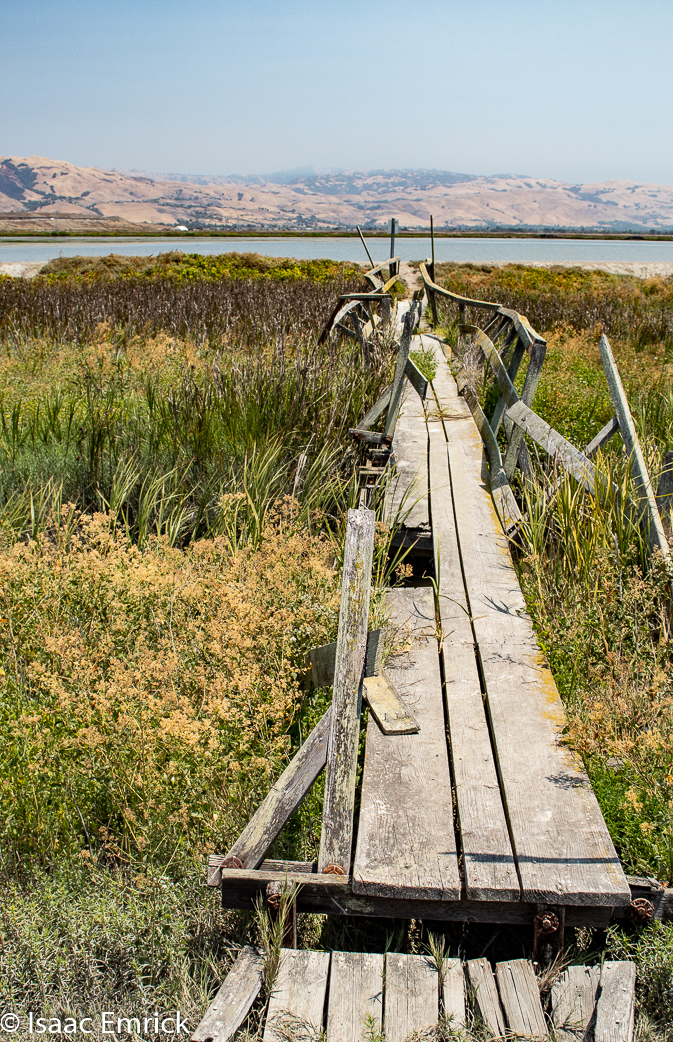 Drawbridge-14