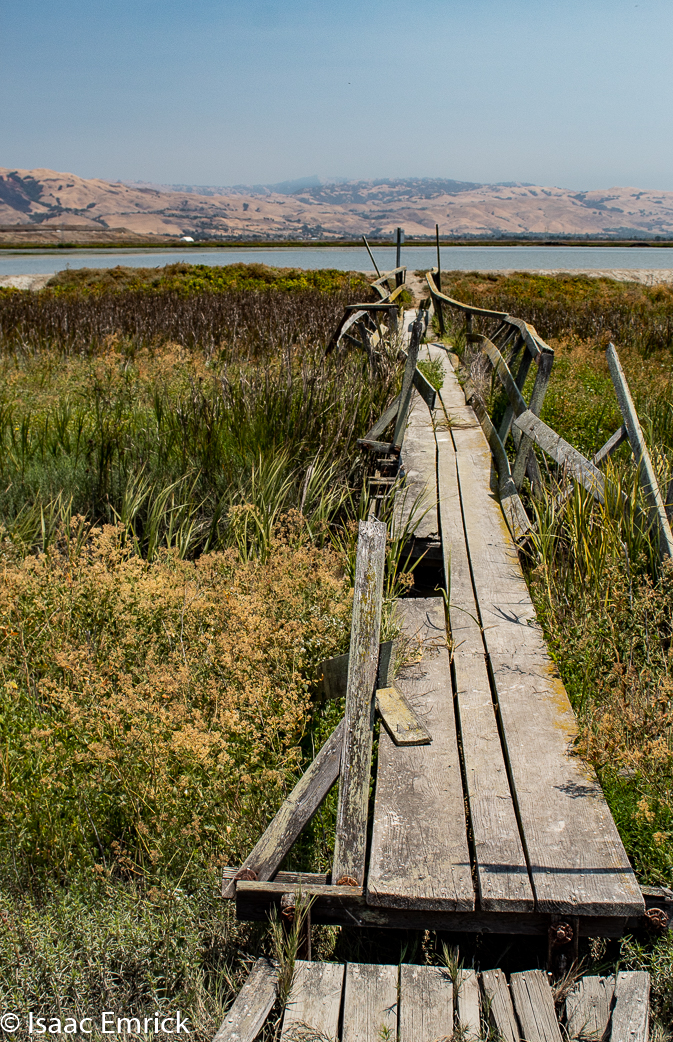 Drawbridge-15