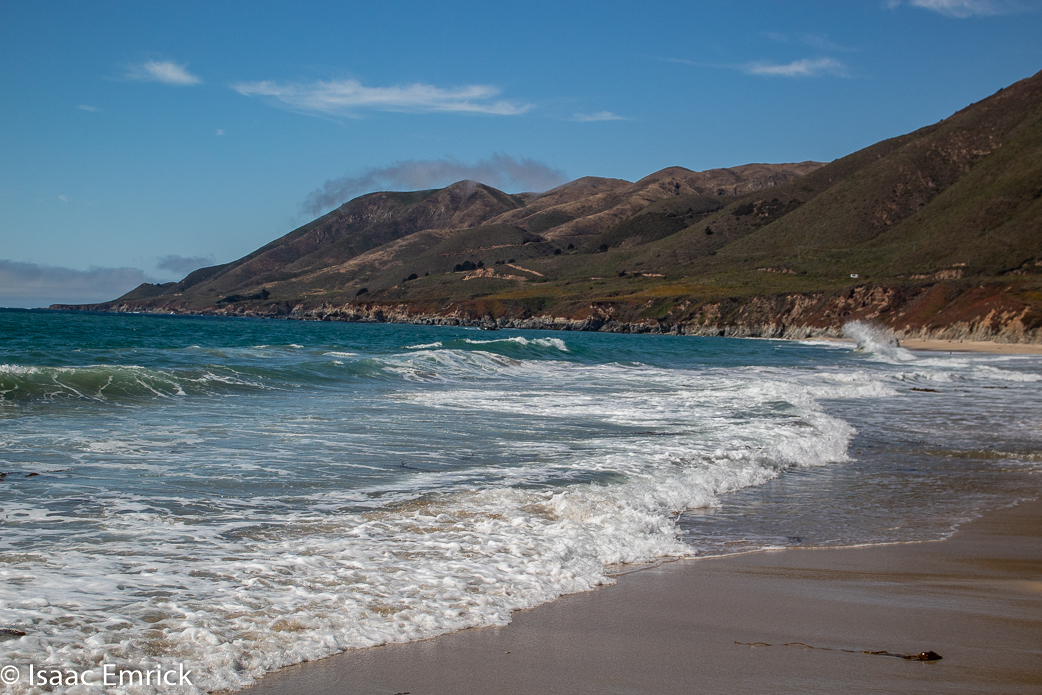 Garrapata 15