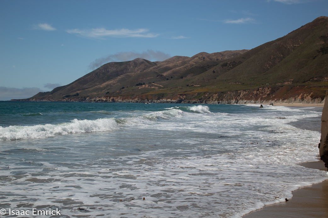 Garrapata 16