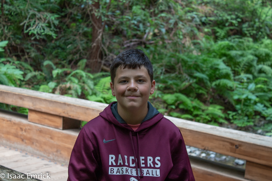 Muir Woods 2