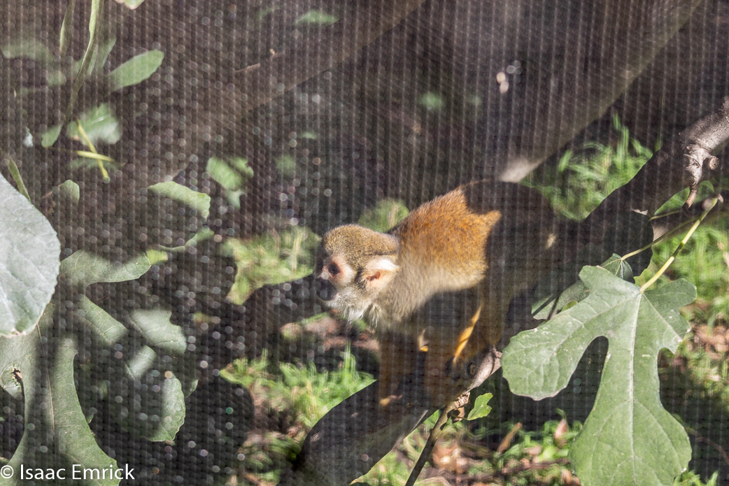 Oakland Zoo 07