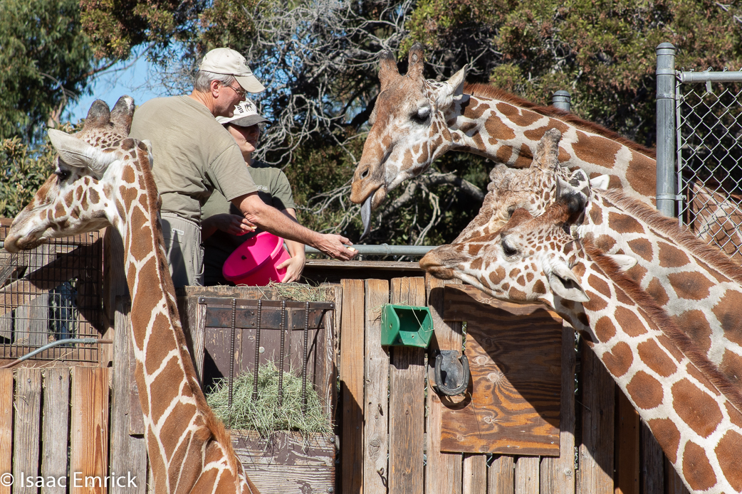 Oakland Zoo 31