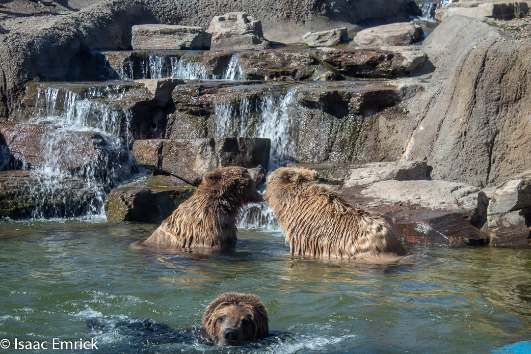 Oakland Zoo 45
