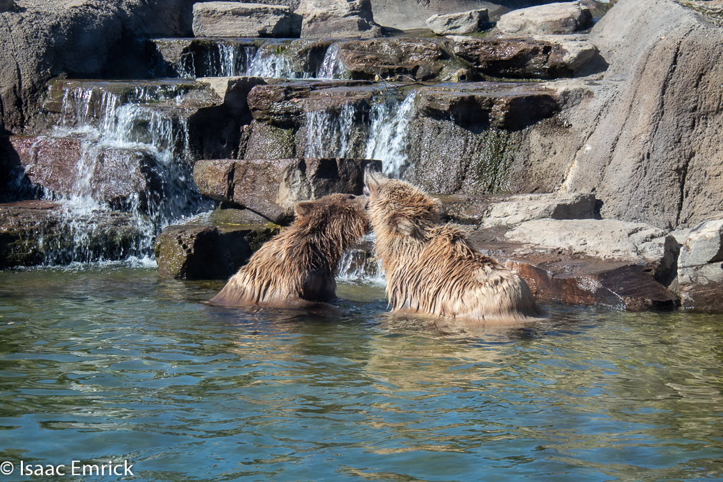 Oakland Zoo 47