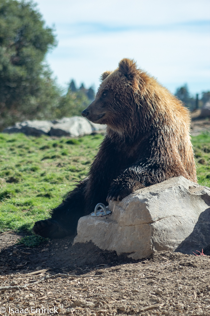 Oakland Zoo 53