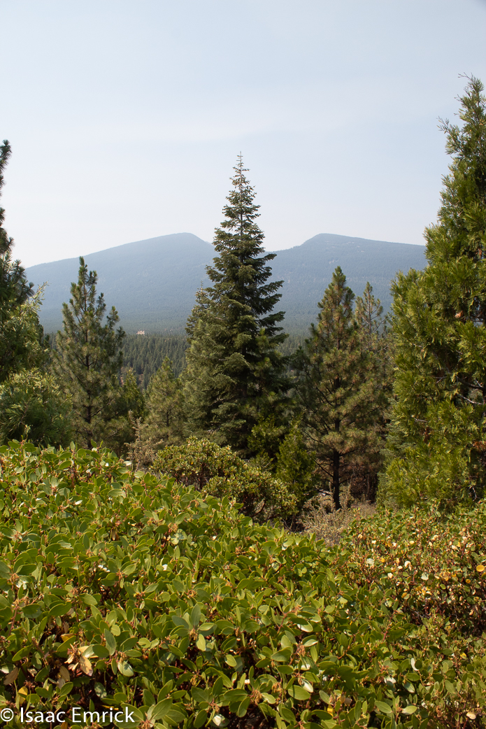 Oregon - 08