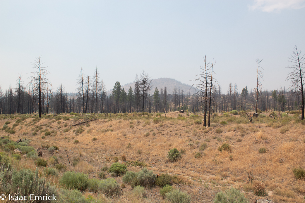 Oregon - 10