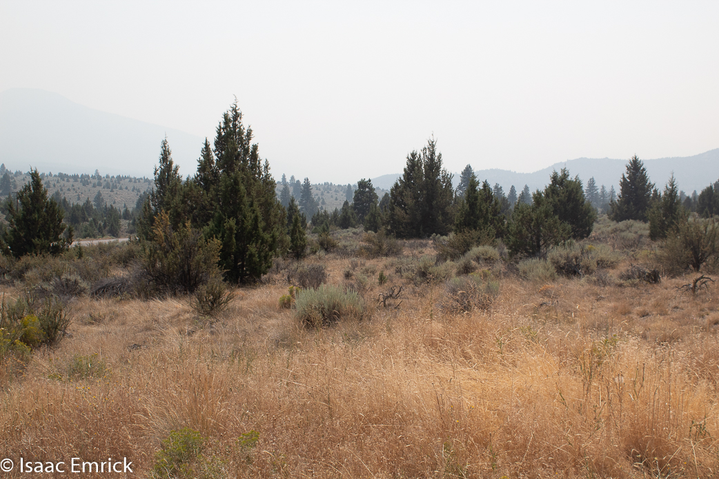 Oregon - 19