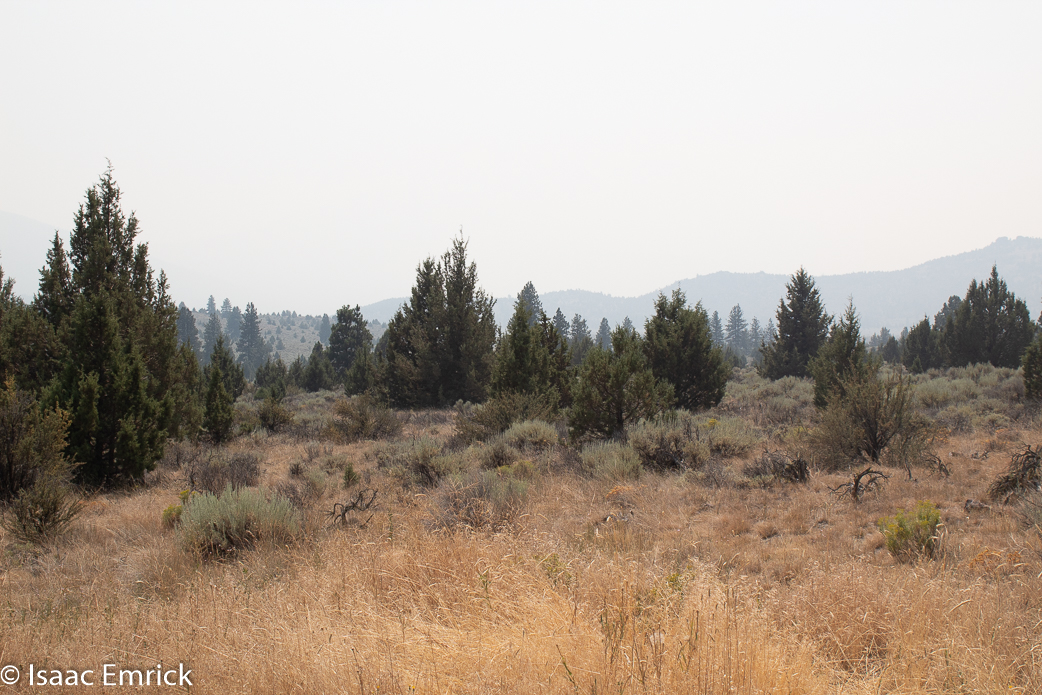Oregon - 20