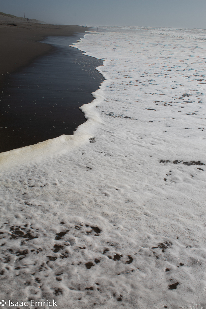 Frothy