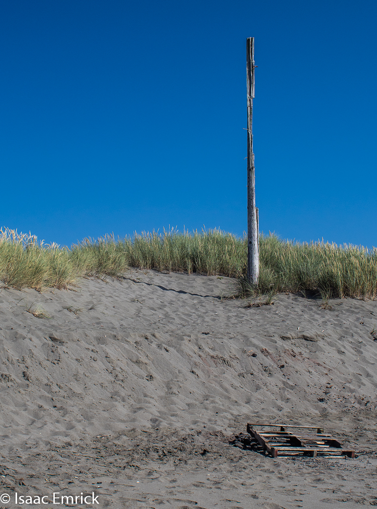 Not So Beach Totem