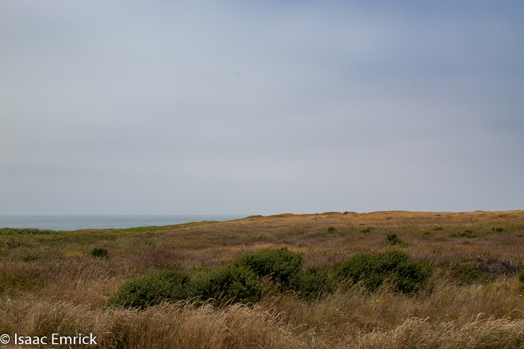 Ocean Prairie