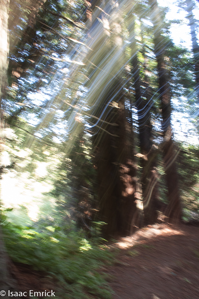 Exposure Experiment 
