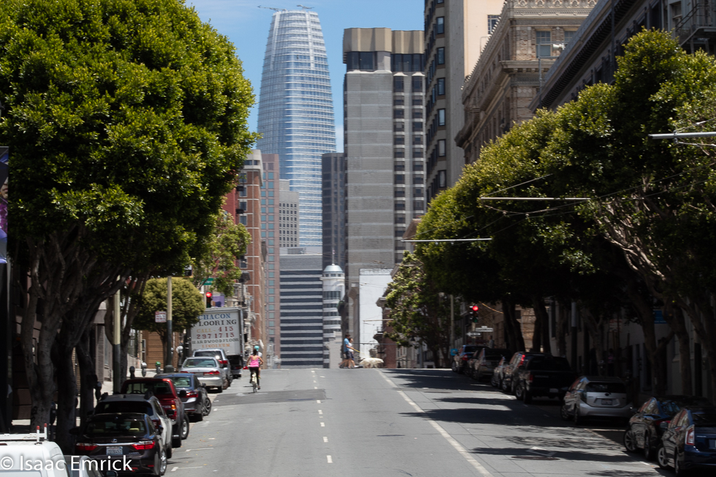 SF Bus Trip - 35